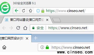 DV SSL證書(shū)展示形式