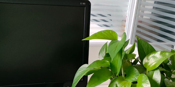 微信小程序運營中有哪些具體策略